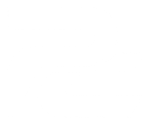 Protocol Case